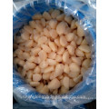 2017 Pickled garlic cloves in Brine packed in drums